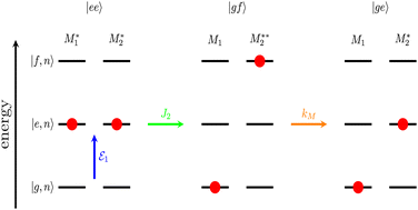 Graphical abstract: Third-order pump-probe spectroscopy applied to molecular dimers: characterization of relaxation dynamics and exciton–exciton annihilation