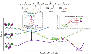 Graphical abstract: 3-Methylation alters excited state decay in photoionised uracil