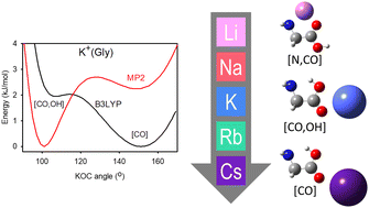 Graphical abstract: Infrared multiple-photon dissociation spectroscopy of cationized glycine: effects of alkali metal cation size on gas-phase conformation