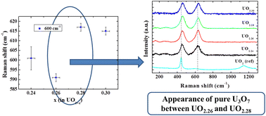 Graphical abstract: New insights into the structural transition from UO2+x to U3O7 by quantitative Raman spectroscopy