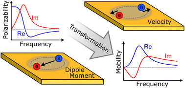 Graphical abstract: THz mobility and polarizability: impact of transformation and dephasing on the spectral response of excitons in a 2D semiconductor