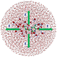 Graphical abstract: Excess-electron capture and energy transfer to bulk water for aqueous DNA nucleotide