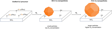 Graphical abstract: BCC-Cu nanoparticles: from a transient to a stable allotrope by tuning size and reaction conditions