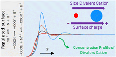 Graphical abstract: Surface charge regulation using classical density functional theory: the effect of divalent potential determining ions