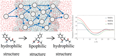 Graphical abstract: Calculation of the permeability coefficients of small molecules through lipid bilayers by free-energy reaction network analysis following the explicit treatment of the internal conformation of the solute