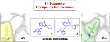 Graphical abstract: Optimization of potential non-covalent inhibitors for the SARS-CoV-2 main protease inspected by a descriptor of the subpocket occupancy