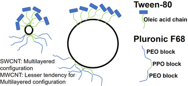 Graphical abstract: HRMAS-NMR and simulation study of the self-assembly of surfactants on carbon nanotubes