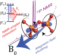 Graphical abstract: 31P spin–lattice and singlet order relaxation mechanisms in pyrophosphate studied by isotopic substitution, field shuttling NMR, and molecular dynamics simulation