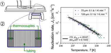 Graphical abstract: Homogeneous freezing of water droplets for different volumes and cooling rates