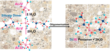 Graphical abstract: Aluminium catalysed oligomerisation in cement-forming silicate systems