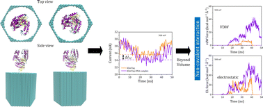 Graphical abstract: A molecular dynamics investigation of Taq DNA polymerase and its complex with a DNA substrate using a solid-state nanopore biosensor
