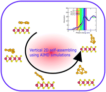 Graphical abstract: Structure, stability, and electronic and optical properties of TMDC–coinage metal composites: vertical atomically thin self-assembly of Au clusters