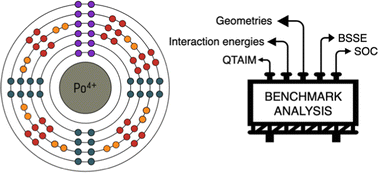 Graphical abstract: Geometries, interaction energies and bonding in [Po(H2O)n]4+ and [PoCln]4−n complexes