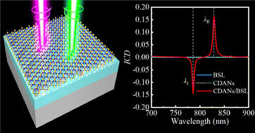 Graphical abstract: Induced circular dichroism of achiral dielectric elliptical hole arrays with a monolayer borophene film