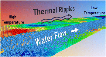 Graphical abstract: Water flow in graphene nanochannels driven by imposed thermal gradients: the role of flexural phonons
