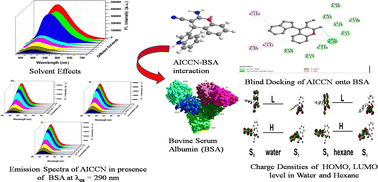 Graphical abstract: Fluorescence probing and molecular docking analysis of the binding interaction of bovine serum albumin (BSA) with the polarity probe AICCN