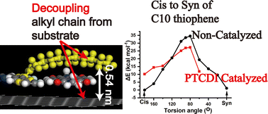 Graphical abstract: Noncovalent wedging effect catalyzed the cis to syn transformation of a surface-adsorbed polymer backbone toward an unusual thermodynamically stable supramolecular product