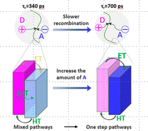 Graphical abstract: Excited-state and charge-carrier dynamics in binary conjugated polymer dots towards efficient photocatalytic hydrogen evolution