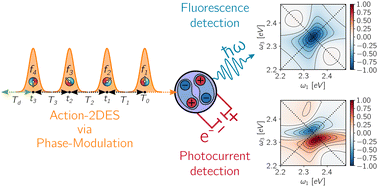 Graphical abstract: Simulating action-2D electronic spectroscopy of quantum dots: insights on the exciton and biexciton interplay from detection-mode and time-gating