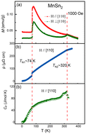 Graphical abstract: Electronic and thermal transport properties of the metallic antiferromagnet MnSn2