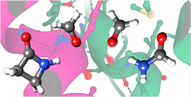 Graphical abstract: Intermolecular amide and aldehyde interactions: rotational spectroscopy of the complexes of formaldehyde with 2-azetidinone and formamide