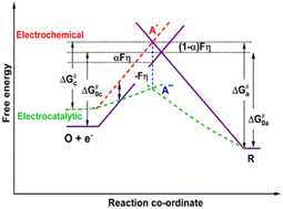 Graphical abstract: Relationship between the electron-transfer coefficients of the oxygen reduction reaction estimated from the Gibbs free energy of activation and the Butler–Volmer equation