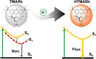 Graphical abstract: Revealing the sensing mechanism of a fluorescent pH probe based on a bichromophore approach