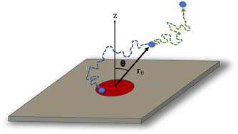 Graphical abstract: Trapping of single diffusing particles by a circular disk on a reflecting flat surface. Absorbing hemisphere approximation