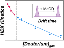 Graphical abstract: Ion-neutral clustering alters gas-phase hydrogen–deuterium exchange rates