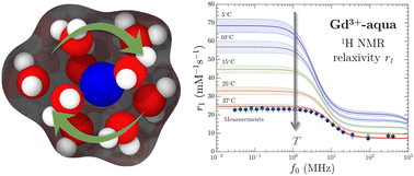 Graphical abstract: Thermal and concentration effects on 1H NMR relaxation of Gd3+-aqua using MD simulations and measurements