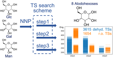 Graphical abstract: A self-adapting first-principles exploration on the dissociation mechanism in sodiated aldohexose pyranoses assisted with neural network potentials