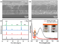 Graphical abstract: Stable perovskite solar cells with 22% efficiency enabled by inhibiting migration/loss of iodide ions