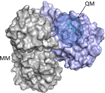 Graphical abstract: Characterizing the ligand-binding affinity toward SARS-CoV-2 Mpro via physics- and knowledge-based approaches