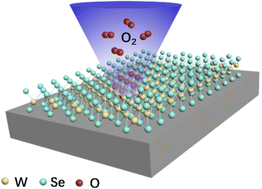 Graphical abstract: Electronic state evolution of oxygen-doped monolayer WSe2 assisted by femtosecond laser irradiation