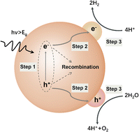 Graphical abstract: Exploiting the LSPR effect for an enhanced photocatalytic hydrogen evolution reaction