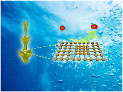 Graphical abstract: Compressive strain induced superior HER performance of nickel in alkaline solution