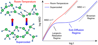 Graphical abstract: Topology induced crossover between Langevin, subdiffusion, and Brownian diffusion regimes in supercooled water