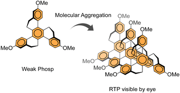 Graphical abstract: The effect of substituents and molecular aggregation on the room temperature phosphorescence of a twisted π-system