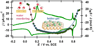 Graphical abstract: Entropic contributions to the stability of electrochemically adsorbed anion layers on Au(111): a microcalorimetric study