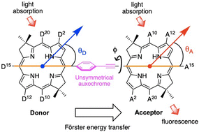 Graphical abstract: Dyads with tunable near-infrared donor–acceptor excited-state energy gaps: molecular design and Förster analysis for ultrafast energy transfer