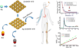 Graphical abstract: Multi-scale computational investigation of Ag-doped two-dimensional Zn-based MOFs for storage and release of small NO and CO bioactive molecules