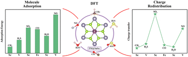 Graphical abstract: Adsorption properties of small gas molecules on SnSe2 monolayer supported with transition metal: first-principles calculations