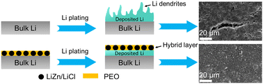Graphical abstract: Stabilization of the Li metal anode through constructing a LiZn alloy/polymer hybrid protective layer towards uniform Li deposition