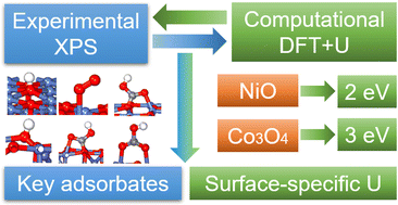 Graphical abstract: Determining surface-specific Hubbard-U corrections and identifying key adsorbates on nickel and cobalt oxide catalyst surfaces