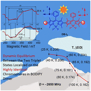 Graphical abstract: Observation of the triplet energy transfer in orthogonal photoexcited iodinated-BODIPY dimers