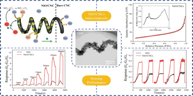 Graphical abstract: Carbon nanocoils decorated with scale-like mesoporous NiO nanosheets for ultrasensitive room temperature ppb-level NO2 sensing
