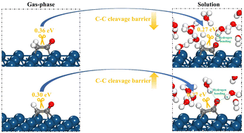 Graphical abstract: Insight into the solvent effects on ethanol oxidation on Ir(100)