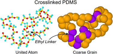 Graphical abstract: United atom and coarse grained models for crosslinked polydimethylsiloxane with applications to the rheology of silicone fluids