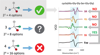 Graphical abstract: Can the absolute configuration of cyclic peptides be determined with vibrational circular dichroism?