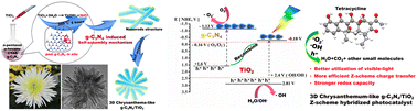 Graphical abstract: 3D chrysanthemum-like g-C3N4/TiO2 as an efficient visible-light-driven Z-scheme hybrid photocatalyst for tetracycline degradation